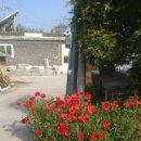 창뜰농장 이미지