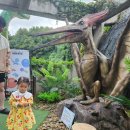 자연사박물관우석헌 | 경기 남양주 아기랑 가볼만한 곳, 우석헌자연사박물관 18개월 아기랑 방문 후기