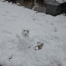 마이산휴게소 이미지