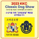 지오디독 이미지