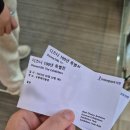 K현대미술관 전시 [디즈니 100주년 특별전] 후기