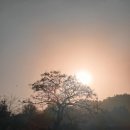 복룡농장 이미지