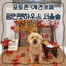 펌킨 펫하우스 서울숲 이미지