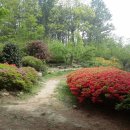 다사역 3번출구 이미지