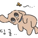 포지티브쿠키