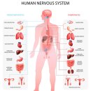퀸즈파크여성병원 이미지