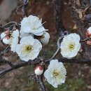 갤러리시흥 이미지