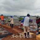 부안군농업기술센터 이미지