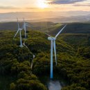 상원태양광발전소 이미지