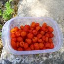 분지골농장 이미지