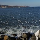 대진5리해변 이미지