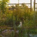 79네수육국밥 둔포점 이미지