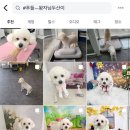 이뻐지는산책 이미지