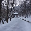 숭림사