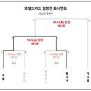 와일드카드 결정전 토너먼트 이미지