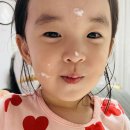 모도리 케이크 이미지