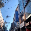 춘천 고양이집 이미지