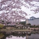 호원대학교1 이미지
