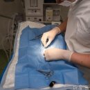 Dr.수 동물병원 | 은평구 병원 Dr.윤 동물의료센터 치료가 진행되는 동안의 케어도 마음에
