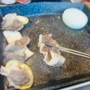 보리네정고깃간 | [시흥 맛집] 보리네생고깃간 시흥목감점 솔직 후기 (+대접받는 느낌의 생보리소 고기한상)