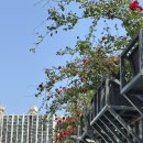 2025년 영등포 아트페스타 | 영등포 웨딩홀 JK아트컨벤션 엠버루체/그랜드홀 계약 후기