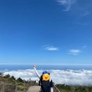 함께걷는부동산공인중개사사무소 이미지