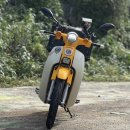 국민슈퍼 | 혼다 슈퍼커브110 노란색 매입후기 및 판매안내