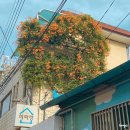 대봉1동 행정복지센터 이미지