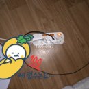 대영전기조명 이미지