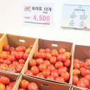 (제주에서) 2026년 5월 4주차 후기