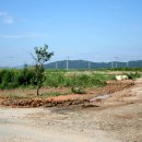 신흥정미소 이미지