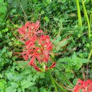 세동농장 이미지