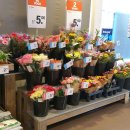 소소한사치 이미지