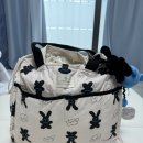 와이엠바이오 이미지