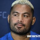 양이펀치 이미지