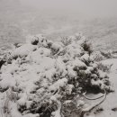 설산농장 이미지