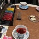 베이힐풀앤빌라 | 🏝️ 제주 베이힐 풀앤빌라 베이스위트 후기 (+ 숙성도/몽탄 후기까지)