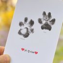 너와함개 이미지