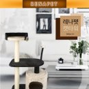펫&캣 이미지