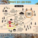 덕분에 행복하개 | [용인] 5천평 규모 대형 애견카페(운동장) '테일45'에서 지토랑 강제 등산(?)하고 온 후기 🐾🏔️