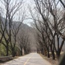 고인돌공원관리사무소 이미지