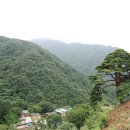 돌배나무 민박 이미지