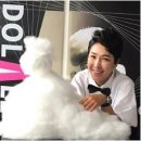 파리봉강아지미용실 이미지