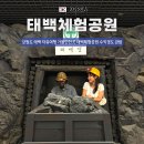 태백관광호텔(SORANOHOTEL) | 강원도 태백 자유여행 가볼만한곳 태백체험공원 수직갱도 관람