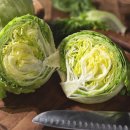 나무 휘트니스 이미지