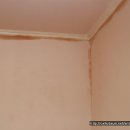 생생아파트 이미지