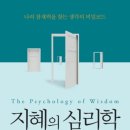 지혜의 심리학 이미지