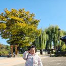 공주시시설관리사업소공주한옥마을 | 공주 한옥마을 예약 숙박후기 별채 4인가족 장단점 겨울 아기랑 갈만한곳