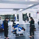 블랙리스트mma 이미지