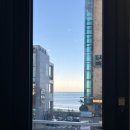 송정코다리 이미지